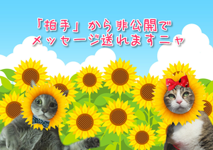 cP9EsoV7reeeWGd1468590326_1468590652