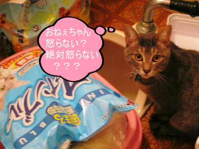 BlogPaint