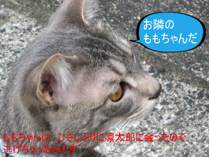 BlogPaint