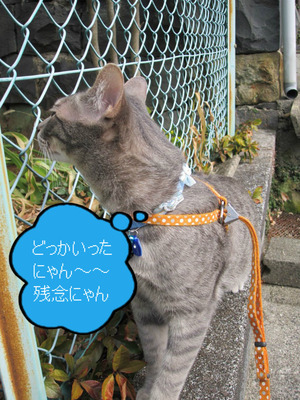 BlogPaint