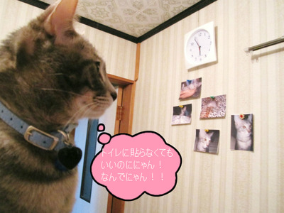 BlogPaint