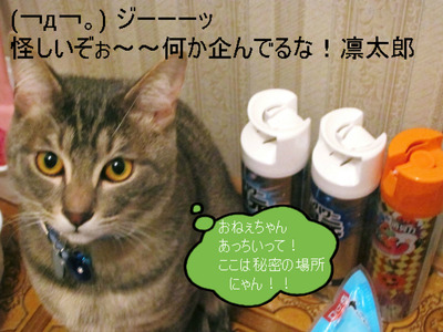 BlogPaint