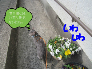 BlogPaint