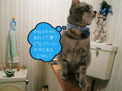 BlogPaint
