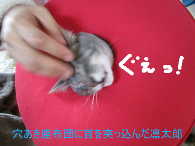 BlogPaint