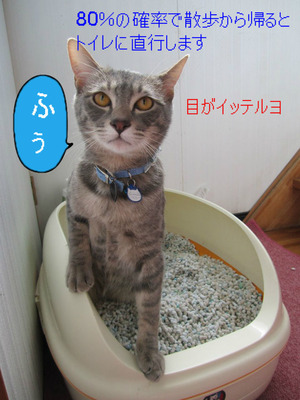 BlogPaint