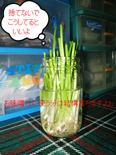 BlogPaint