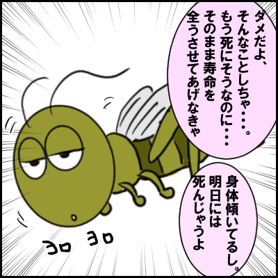mu9