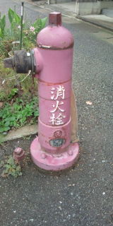 529ff7c5.jpg