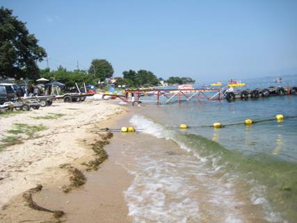 445d936f.jpg