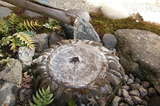49dfc8f2.jpg