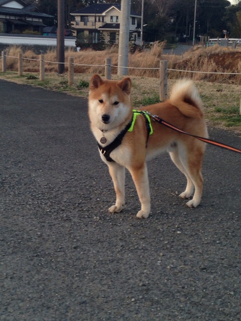 2015-03-04-17-32-30