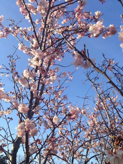 2015-03-04-16-20-54