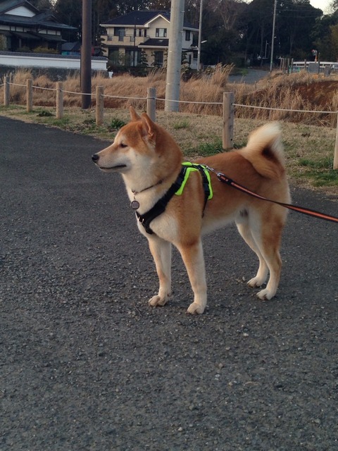 2015-03-04-17-32-29