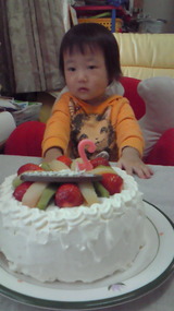 4995731d.jpg