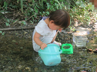 川遊び