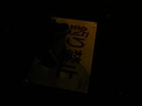 SANY0873