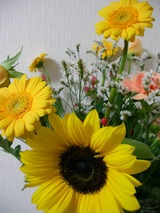 SANY0845