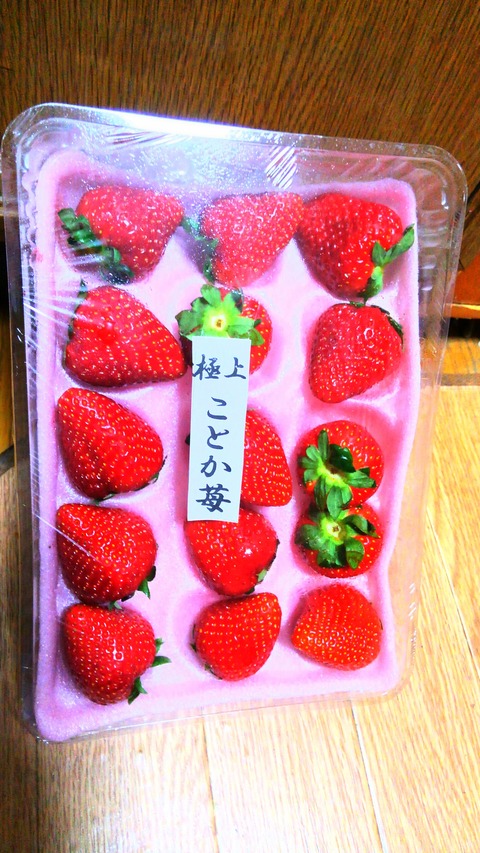 image%3A327378