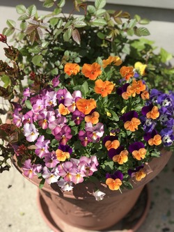 59AE8D16-3BA4-414B-8910-974FE5CBF0A7