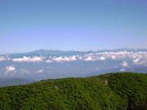 R1033981