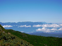 R1033979