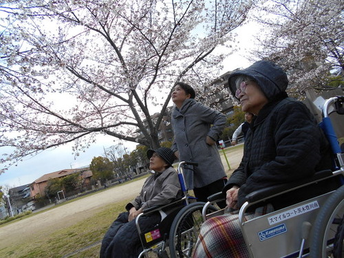 DSCN0736