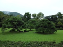 P1170319