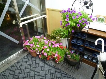 P1170336 - コピー