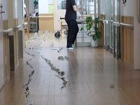 P1150087 - コピー