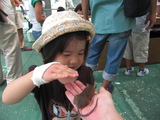 ねずみさん