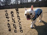 こんぬつわ