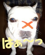 はぁ〜っ