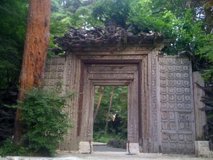 IMG_0856