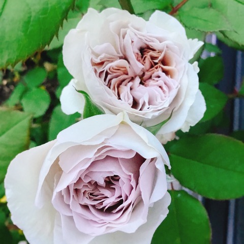 F304BD04-38C7-47D1-9088-4A419E4FD3F7