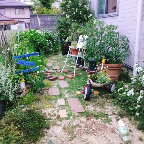 C31A1AD0-D885-47E2-8E5F-ACD1C8590696