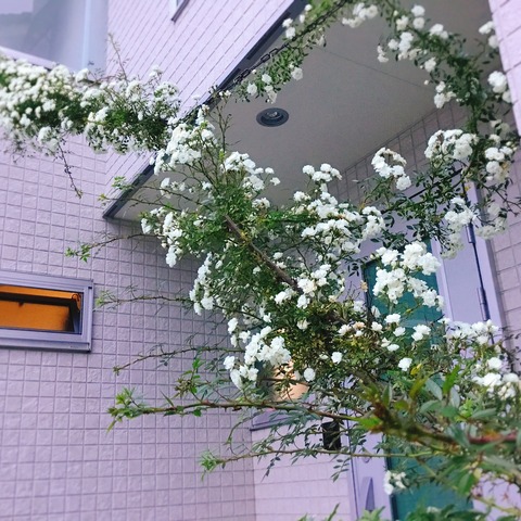 6BBBDAEA-EC01-4924-993B-805FF45C0C1A