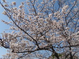 DSC00002