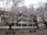 CIMG0536-1