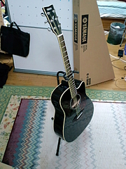 ¥®¥¿¡¼¡¡YAMAHA¡¡FGX730SC BL