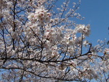 DSC00001