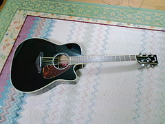 ¥®¥¿¡¼¡¡YAMAHA¡¡FGX730SC BL