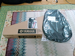¥®¥¿¡¼¡¡YAMAHA¡¡FGX730SC BL