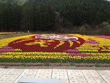 ¼Ì¿¿ 12-05-01 12 42 55