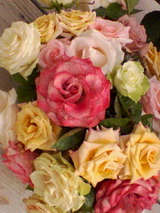 aa7a6767.jpg