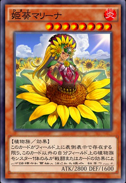 【デュエルリンクス】植物族デッキを組みたいけどトレーダーに並ばないんだが