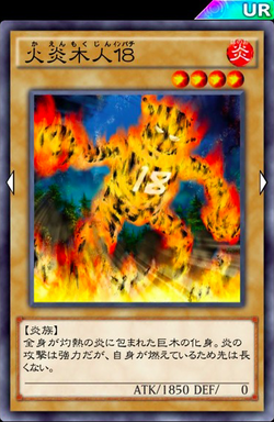 29