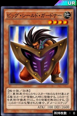 ビッグシールドガードナー