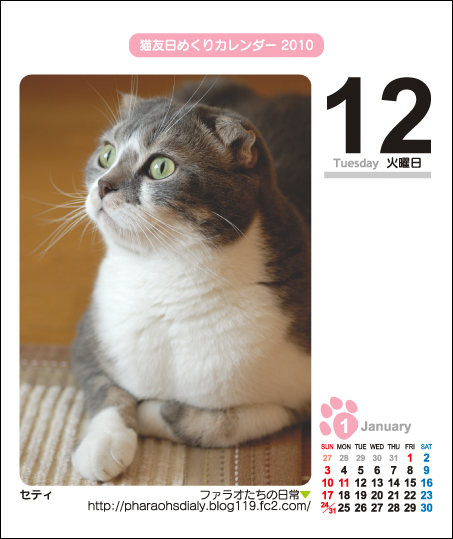 ねこともカレンダー2010 セティさん♪