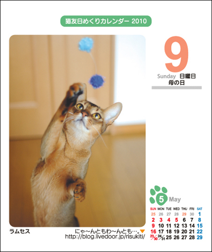 ねこともカレンダー2010 ラムセスさん♪